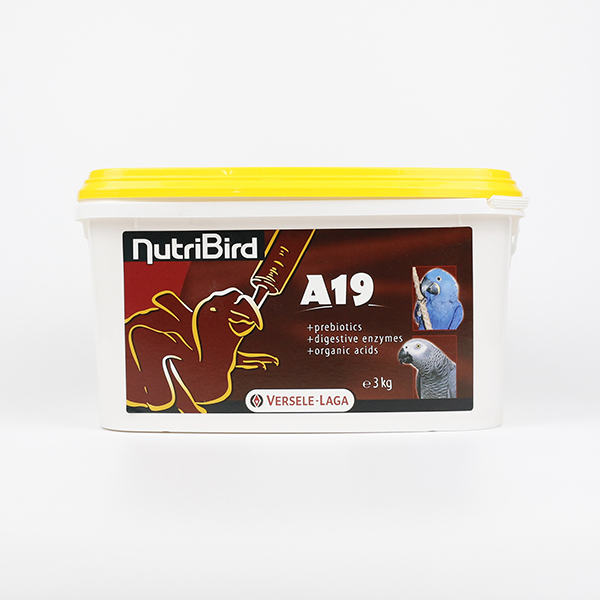  Ʈ A19 ι̿ƽ  ÷  (100g/400g/3kg)